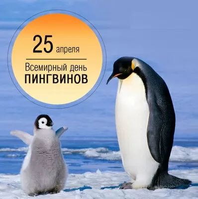 nn-vent.ru/wp-content/uploads/2022/04/penguin_ek.j...