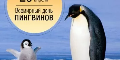 25 апреля – Всемирный день пингвинов