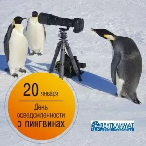 20 января – День осведомленности о пингвинах